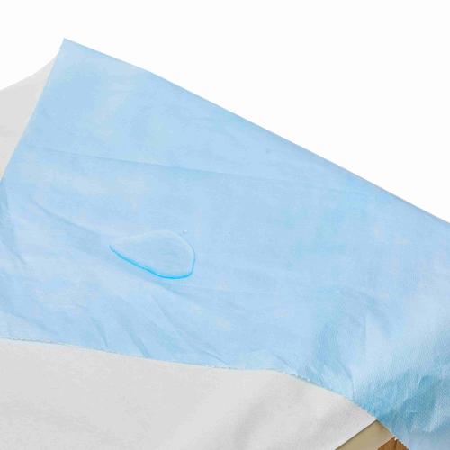 Chine Telijie Disposable Bed Sheet Roll, PP+PE Non-Woven Fabric Multi-Color, Waterproof for Hotel, Home & Travel Fabricant