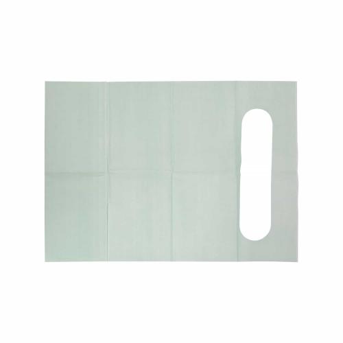 Chine Disposable Baby Bib, Class I Medical Device CE/ISO13485 Certified, Paper + PE Film 24.5*34.5cm with 5.5cm Pocket for Children Fabricant