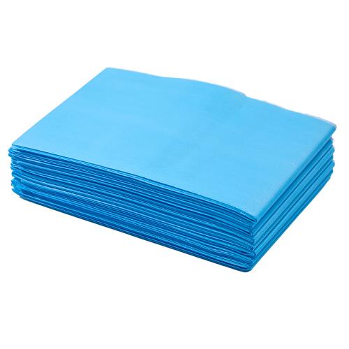Chine Telijie Disposable Bed Sheet Sheets – 80×175cm, 1-Ply Paper + PE Film Fabricant